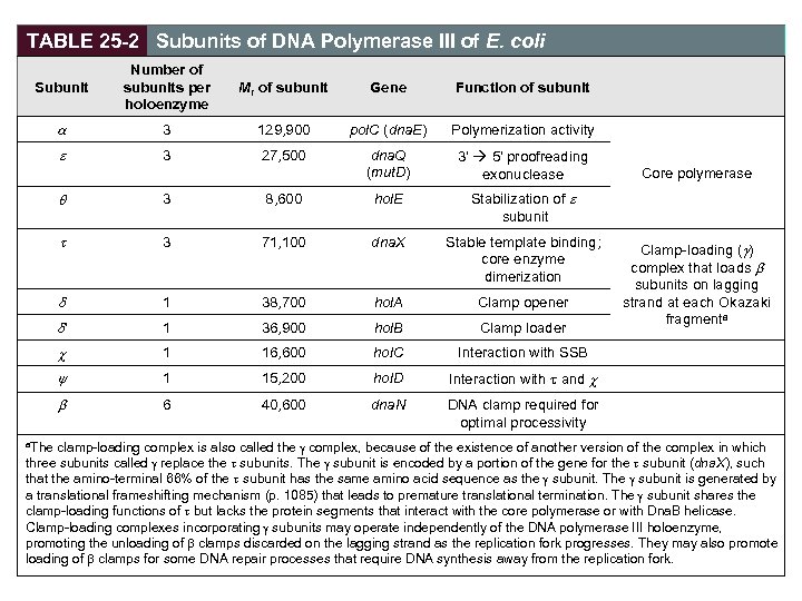 TABLE 25 -2 Subunits of DNA Polymerase III of E. coli Subunit Number of