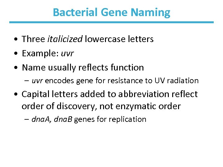 Bacterial Gene Naming • Three italicized lowercase letters • Example: uvr • Name usually