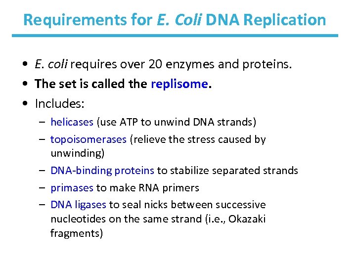 Requirements for E. Coli DNA Replication • E. coli requires over 20 enzymes and