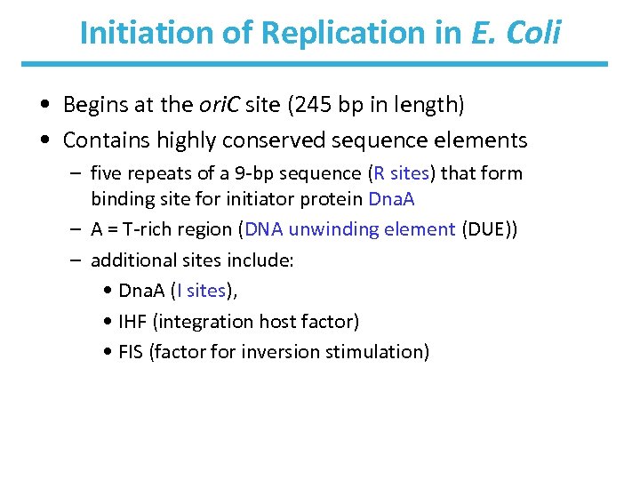 Initiation of Replication in E. Coli • Begins at the ori. C site (245