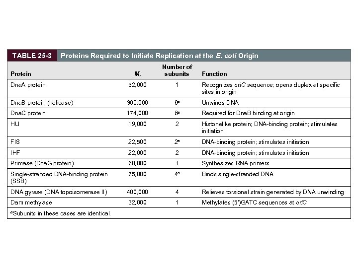 TABLE 25 -3 Proteins Required to Initiate Replication at the E. coli Origin Mr