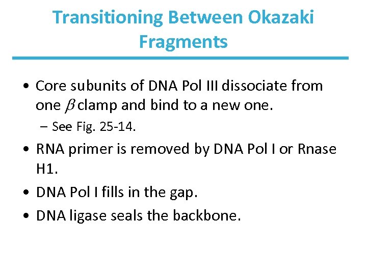 Transitioning Between Okazaki Fragments • Core subunits of DNA Pol III dissociate from one