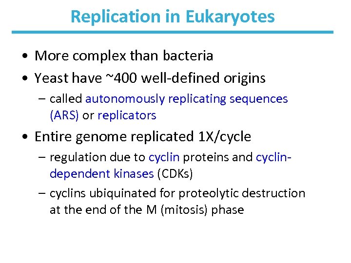 Replication in Eukaryotes • More complex than bacteria • Yeast have ~400 well-defined origins