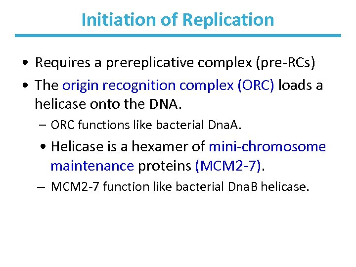 Initiation of Replication • Requires a prereplicative complex (pre-RCs) • The origin recognition complex