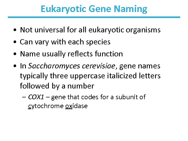 Eukaryotic Gene Naming • • Not universal for all eukaryotic organisms Can vary with