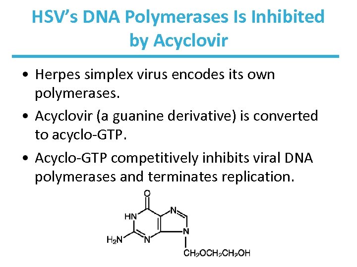 HSV’s DNA Polymerases Is Inhibited by Acyclovir • Herpes simplex virus encodes its own