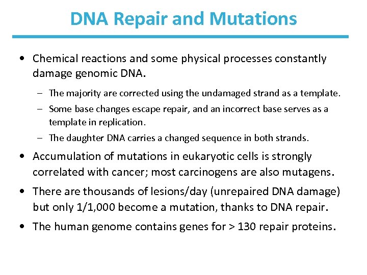 DNA Repair and Mutations • Chemical reactions and some physical processes constantly damage genomic