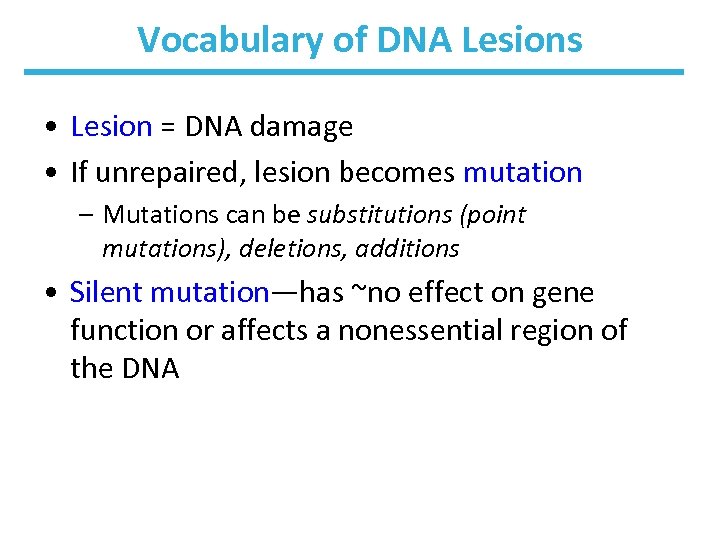 Vocabulary of DNA Lesions • Lesion = DNA damage • If unrepaired, lesion becomes