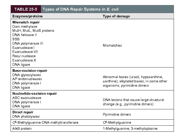 TABLE 25 -5 Types of DNA Repair Systems in E. coli Enzymes/proteins Mismatch repair