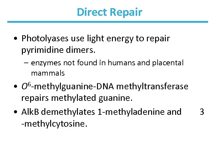 Direct Repair • Photolyases use light energy to repair pyrimidine dimers. – enzymes not