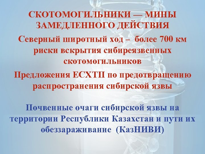 СКОТОМОГИЛЬНИКИ — МИНЫ ЗАМЕДЛЕННОГО ДЕЙСТВИЯ Северный широтный ход – более 700 км риски вскрытия