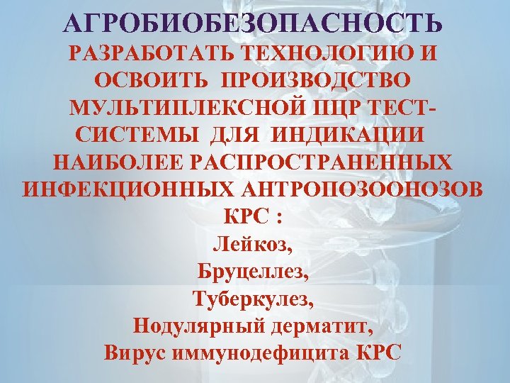 АГРОБИОБЕЗОПАСНОСТЬ РАЗРАБОТАТЬ ТЕХНОЛОГИЮ И ОСВОИТЬ ПРОИЗВОДСТВО МУЛЬТИПЛЕКСНОЙ ПЦР ТЕСТСИСТЕМЫ ДЛЯ ИНДИКАЦИИ НАИБОЛЕЕ РАСПРОСТРАНЕННЫХ ИНФЕКЦИОННЫХ