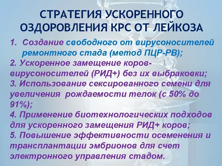 СТРАТЕГИЯ УСКОРЕННОГО ОЗДОРОВЛЕНИЯ КРС ОТ ЛЕЙКОЗА 1. Создание свободного от вирусоносителей ремонтного стада (метод