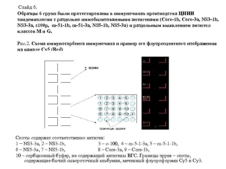 Слайд 6. Образцы 6 групп были протестированы в иммуночипах производства ЦНИИ эпидемиологии c раздельно