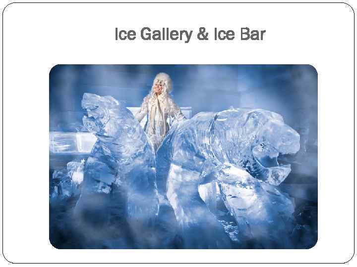 Ice Gallery & Ice Bar 