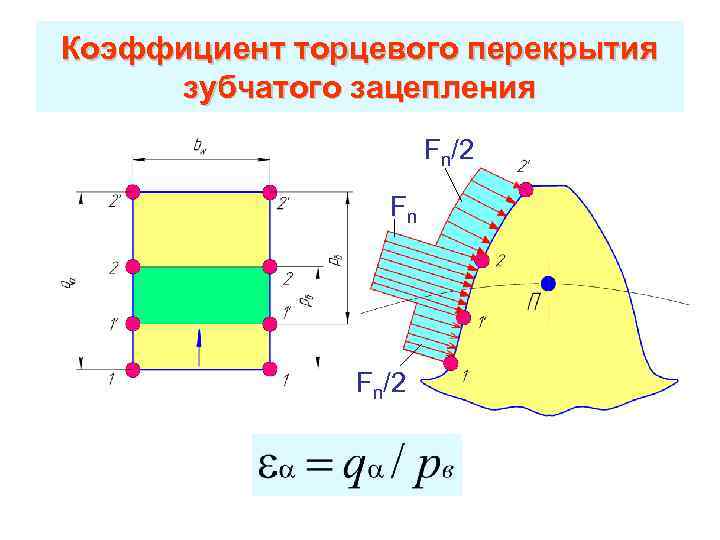 Коэффициент торцевого перекрытия зубчатого зацепления Fn/2 Fn Fn/2 