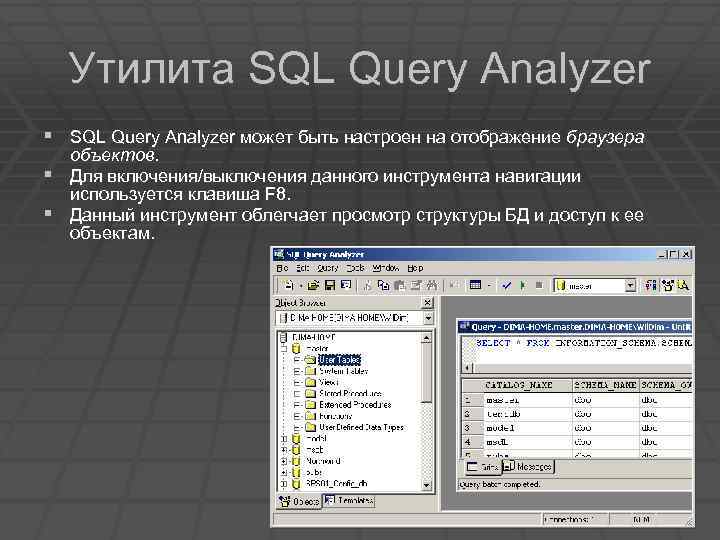 Утилита SQL Query Analyzer § SQL Query Analyzer может быть настроен на отображение браузера