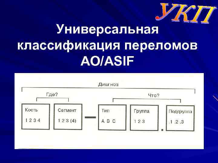 Универсальная классификация переломов AO/ASIF 