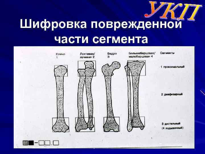 Шифровка поврежденной части сегмента 