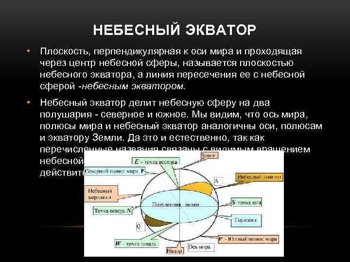 Небесная сфера небесный экватор