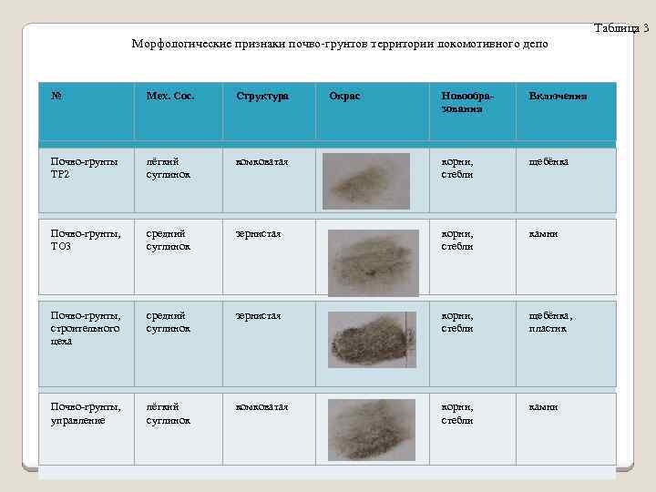 Таблица 3 Морфологические признаки почво-грунтов территории локомотивного депо № Мех. Сос. Структура Почво-грунты ТР