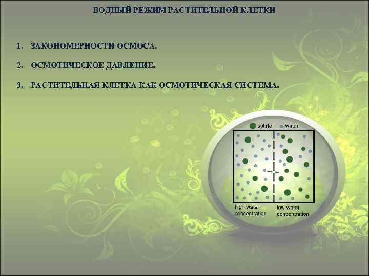 ВОДНЫЙ РЕЖИМ РАСТИТЕЛЬНОЙ КЛЕТКИ 1. ЗАКОНОМЕРНОСТИ ОСМОСА. 2. ОСМОТИЧЕСКОЕ ДАВЛЕНИЕ. 3. РАСТИТЕЛЬНАЯ КЛЕТКА КАК