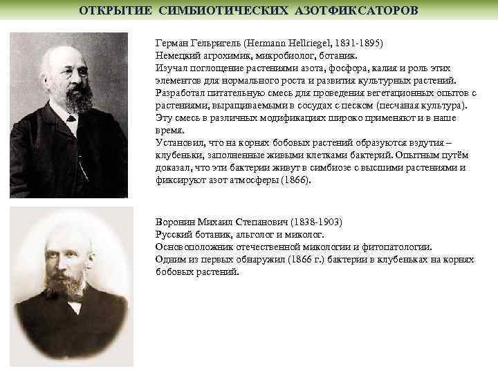 ОТКРЫТИЕ СИМБИОТИЧЕСКИХ АЗОТФИКСАТОРОВ Герман Гельригель (Hermann Неllrіеgеl, 1831 -1895) Немецкий агрохимик, микробиолог, ботаник. Изучал