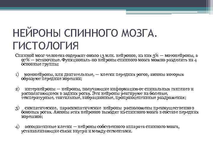 НЕЙРОНЫ СПИННОГО МОЗГА. ГИСТОЛОГИЯ Спинной мозг человека содержит около 13 млн. нейронов, из них