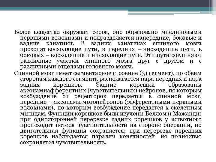  Белое вещество окружает серое, оно образовано миелиновыми нервными волокнами и подразделяется напередние, боковые