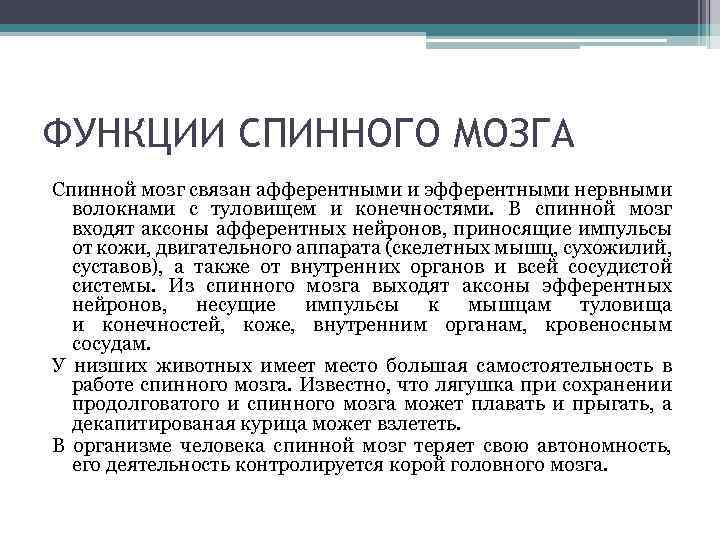 ФУНКЦИИ СПИННОГО МОЗГА Спинной мозг связан афферентными и эфферентными нервными волокнами с туловищем и