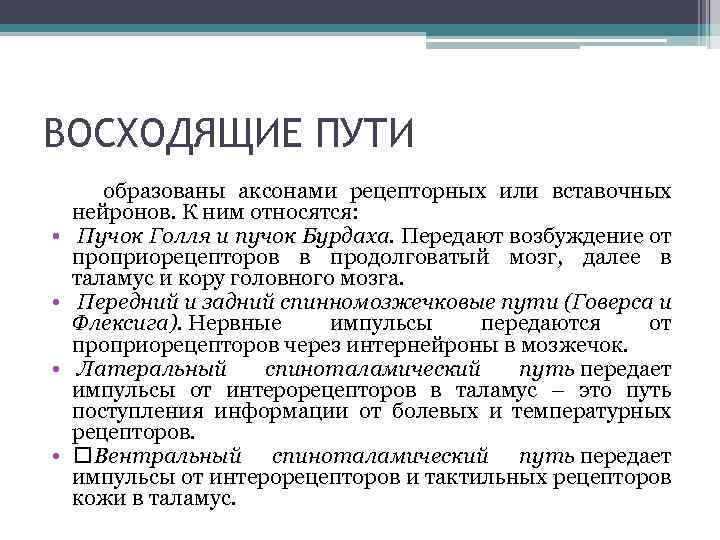 ВОСХОДЯЩИЕ ПУТИ образованы аксонами рецепторных или вставочных нейронов. К ним относятся: • Пучок Голля