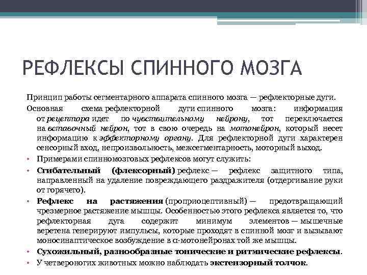 РЕФЛЕКСЫ СПИННОГО МОЗГА Принцип работы сегментарного аппарата спинного мозга — рефлекторные дуги. Основная схема