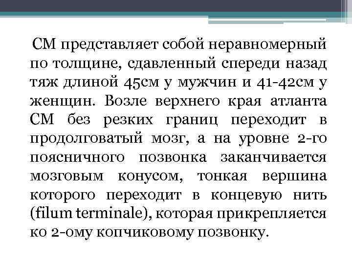  СМ представляет собой неравномерный по толщине, сдавленный спереди назад тяж длиной 45 см