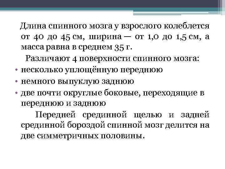  Длина спинного мозга у взрослого колеблется от 40 до 45 см, ширина —