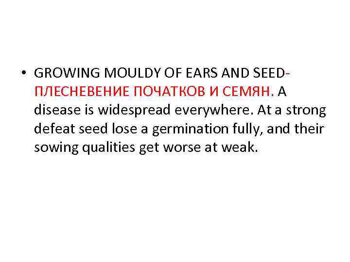  • GROWING MOULDY OF EARS AND SEEDПЛЕСНЕВЕНИЕ ПОЧАТКОВ И СЕМЯН. A disease is