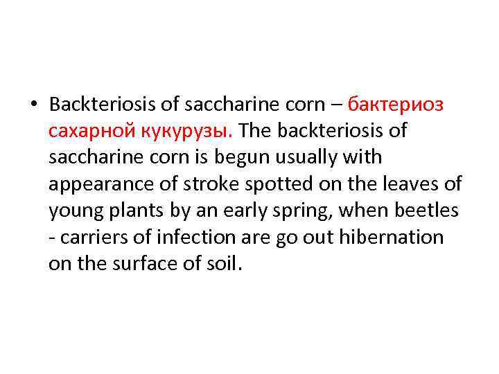  • Backteriosis of saccharine corn – бактериоз сахарной кукурузы. The backteriosis of saccharine