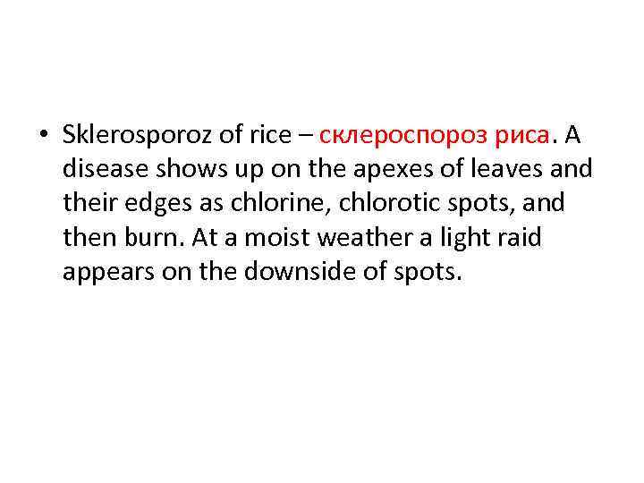  • Sklerosporoz оf rice – склероспороз риса. A disease shows up on the