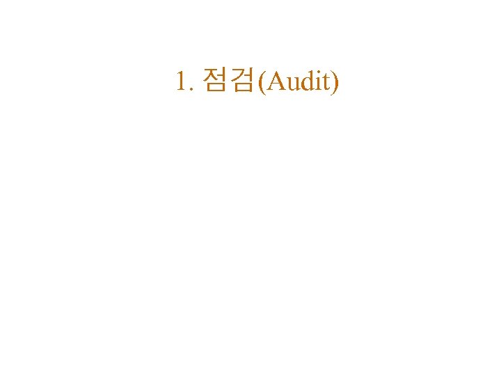 1. 점검(Audit) 