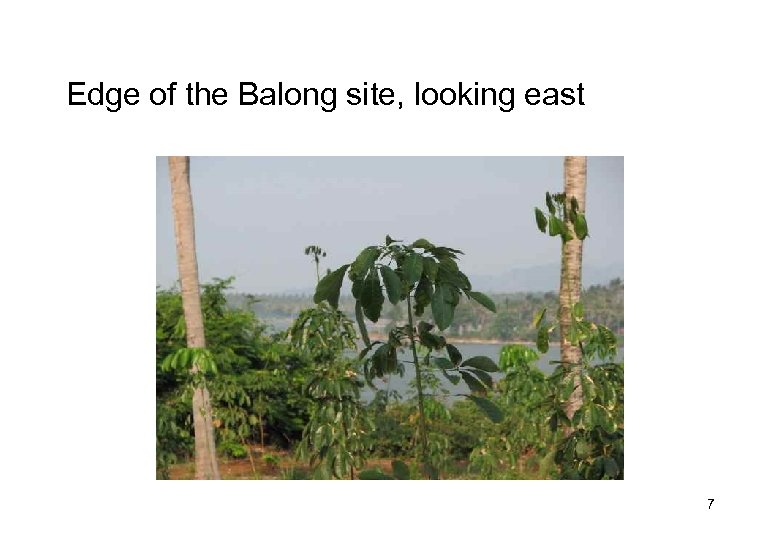 Edge of the Balong site, looking east 7 