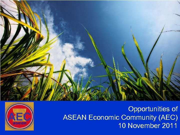 AEC Opportunities of ASEAN Economic Community (AEC) 10 November 2011 
