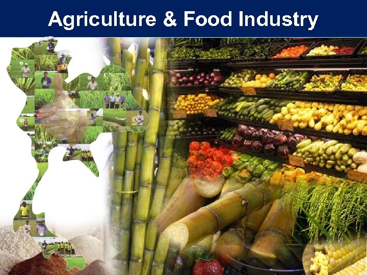 Agriculture & Food Industry 