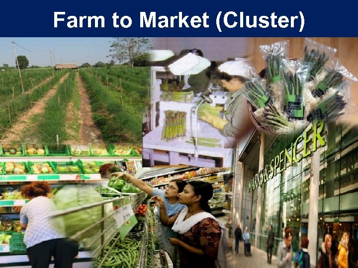 Farm to Market (Cluster) 