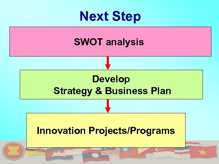 Next Step SWOT analysis Develop Strategy & Business Plan Innovation Projects/Programs 