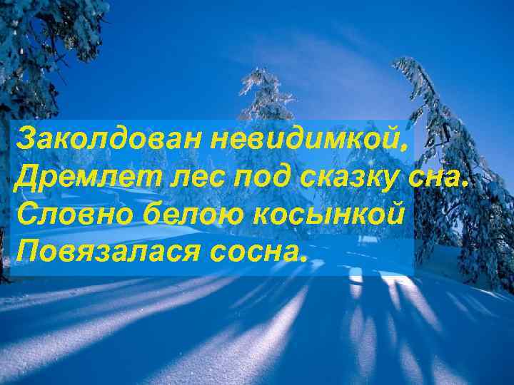 Заколдован невидимкой, Дремлет лес под сказку сна. Словно белою косынкой Повязалася сосна. 