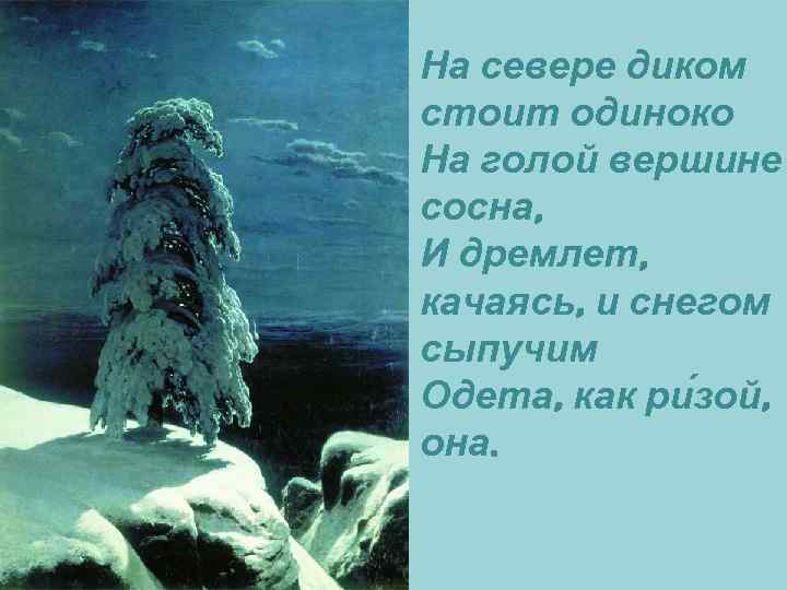 На севере диком стоит одиноко На голой вершине сосна, И дремлет, качаясь, и снегом