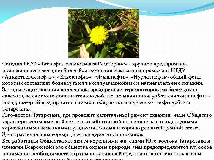 Сегодня ООО «Татнефть-Альметьевск Рем. Сервис» - крупное предприятие, производящее ежегодно более 800 ремонтов скважин
