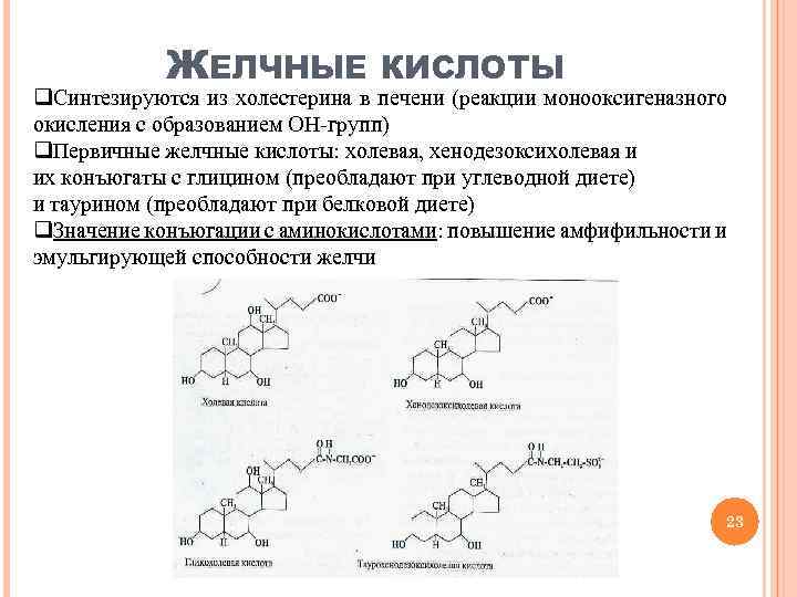 ЖЕЛЧНЫЕ КИСЛОТЫ q. Синтезируются из холестерина в печени (реакции монооксигеназного окисления с образованием ОН-групп)