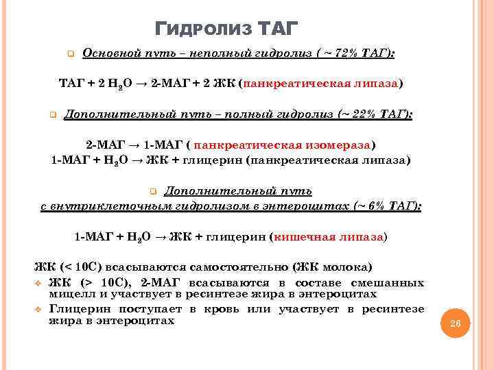 ГИДРОЛИЗ ТАГ q Основной путь – неполный гидролиз ( ~ 72% ТАГ): ТАГ +