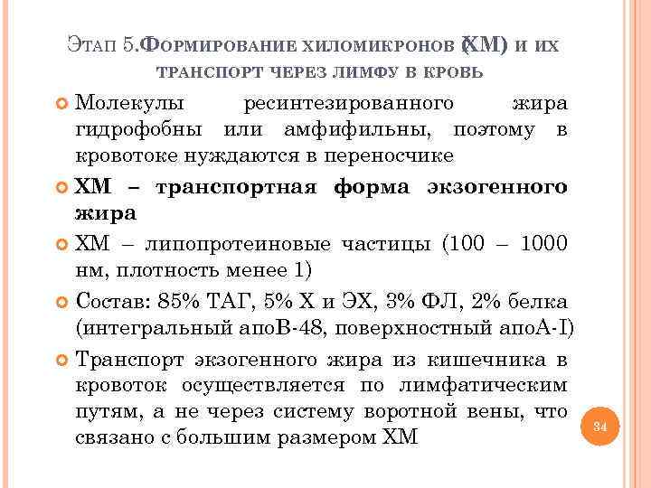 ЭТАП 5. ФОРМИРОВАНИЕ ХИЛОМИКРОНОВ ( М) И ИХ Х ТРАНСПОРТ ЧЕРЕЗ ЛИМФУ В КРОВЬ