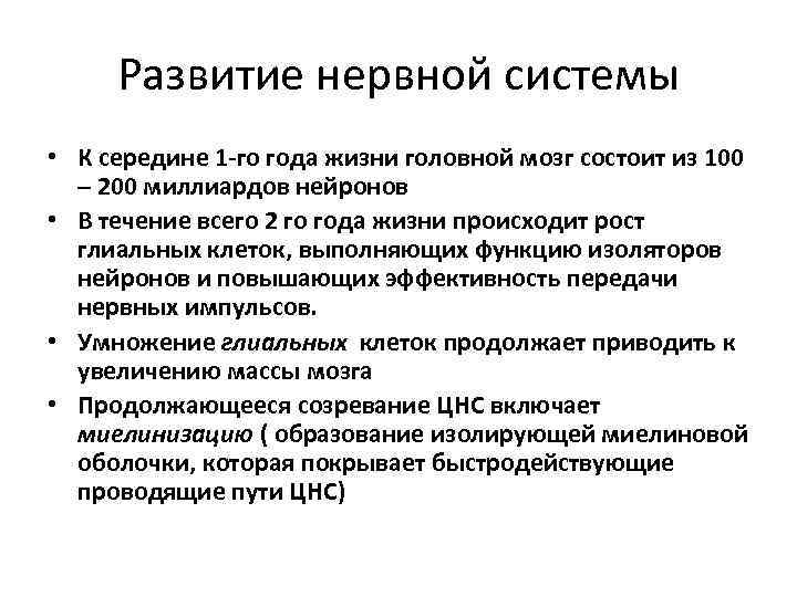 Развитие нервной системы • К середине 1 -го года жизни головной мозг состоит из